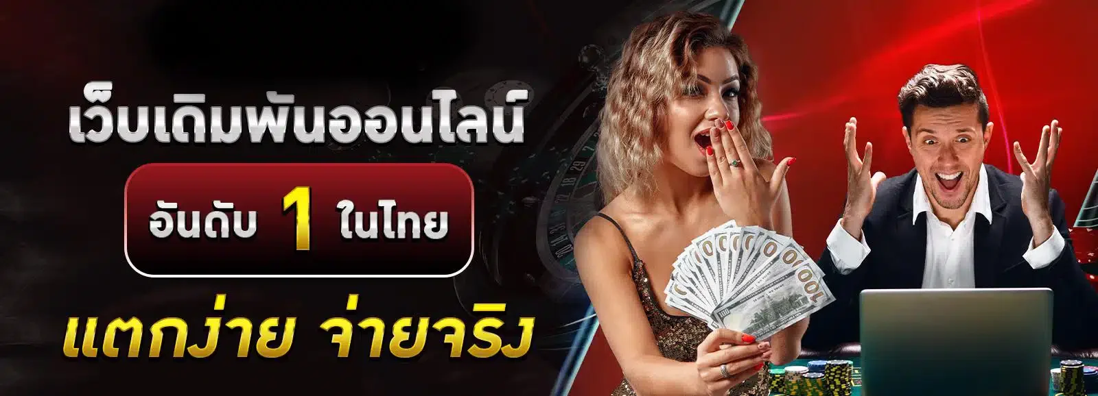 แบนเนอร์ DMC89 ทางเข้าและคู่มือใช้งาน